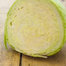 Chou Lisse Blanc Bio