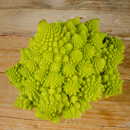 Chou Romanesco Bio