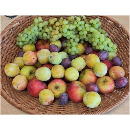* Panier Bio 100% Fruits...