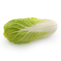 Chou Pé Tsaï Vert Bio