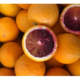 Orange Sanguine Moro Bio