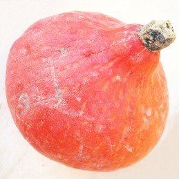 Courge Potimarron Bio