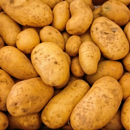 Pomme de Terre Tendre Bio