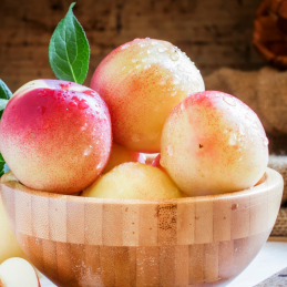 Nectarine Blanche Bio
