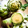 Artichaut Vert Bio