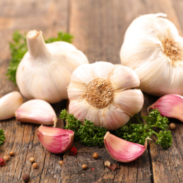 Ail Blanc Frais Bio