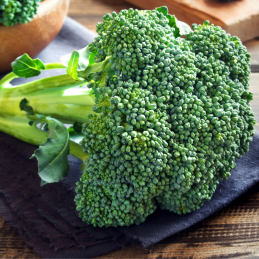 Brocoli Bio