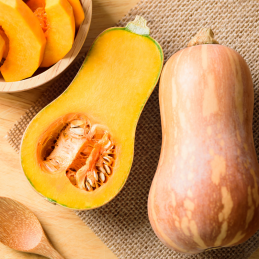 Courge Butternut Bio