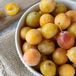 Prune Golden Japan Bio