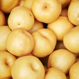 Nashi jaune Bio