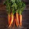 Carottes Botte Bio